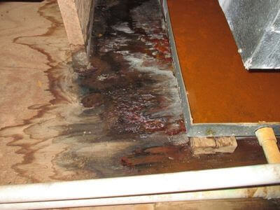 About water damage restoration service - commercial water damage restoration experts in Detroit